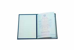 Диплом о среднем образовании с 2008 по 2010 годы образец 3